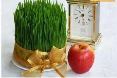 سبزه عید با گندم برای برکت و ثروت عالی است!