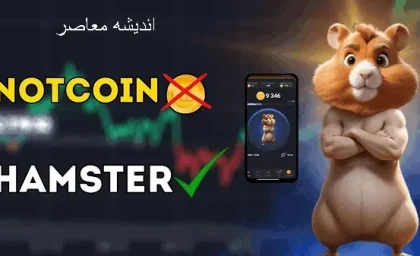 کارت های امروز همستر | آغاز شدن فصل دوم همستر