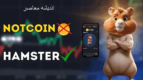 کارت های امروز همستر | آغاز شدن فصل دوم همستر