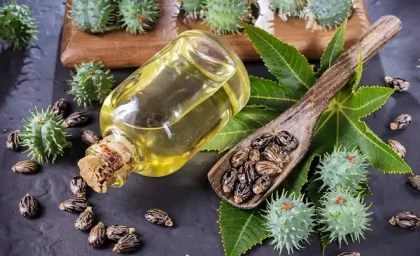 روغن های گیاهی | روش تشخیص روغن های گیاهی از چه قرار است