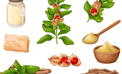 Ashwagandha: قدرت پیشنهاد؟ یا مزایای جنسی واقعی؟