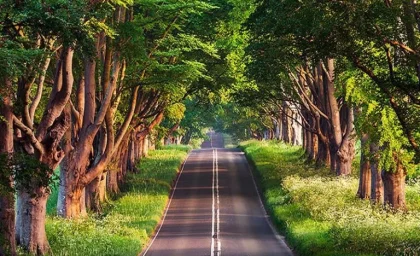 گیلان زیبا ترین استان ایران/جاهای دیدنی گیلان؛ معرفی برترین جاذبه‌های گردشگری بهشت سرسبز ایران