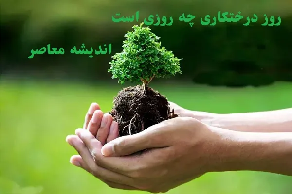 روز درختکاری چه روزی است در تقویم/؟روز درختکاری فرداست!چطور می‌توانیم مشارکت کنیم