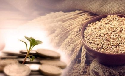 زکات فطره میهمان به عهده میزبان است؟