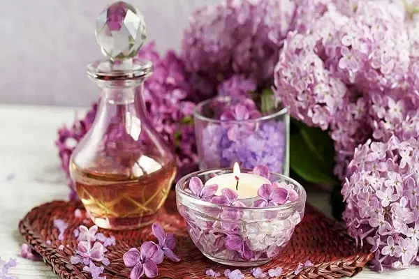 فواید و خواص گلاب | گلاب برای پوست و صورت چه فوایدی دارد