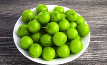 گوجه سبز بخوریم یا نخوریم؟ مضرات عجیب گوجه سبز  و آلوچه برای بدن که از آن بی خبرید