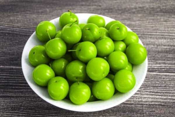 گوجه سبز بخوریم یا نخوریم؟ مضرات عجیب گوجه سبز  و آلوچه برای بدن که از آن بی خبرید
