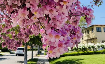 3 روش مثبت برای افزایش شادی شما
