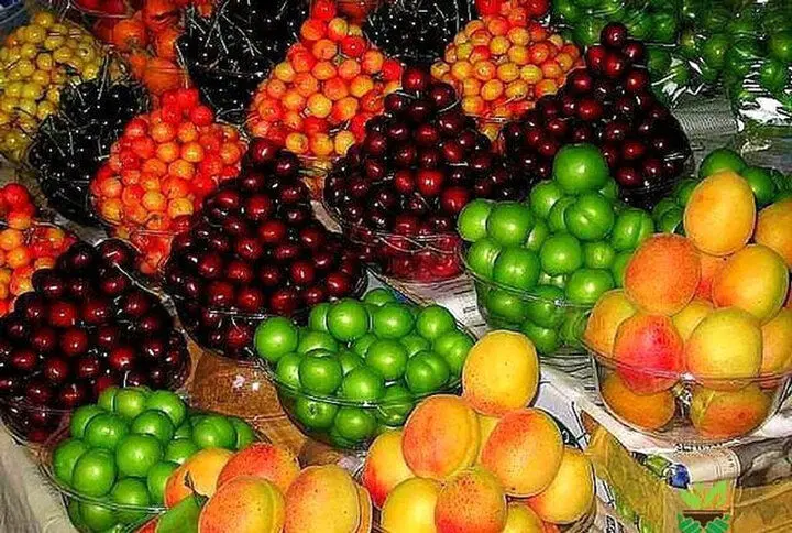 میوه های تازه بازار؛ جان تازه به سفره های ایرانی داد/ جشن طراوت و عطر میوه های تازه، تره بار تهران را رنگین کرده