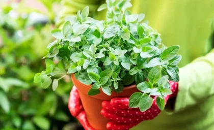 آموزش درست کردن گل با پارچه با ترفندی ساده+فیلم