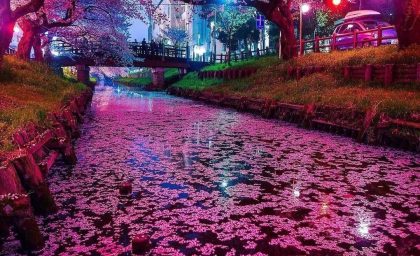 تصاویری دیدنی از طبیعت رویایی ژاپن