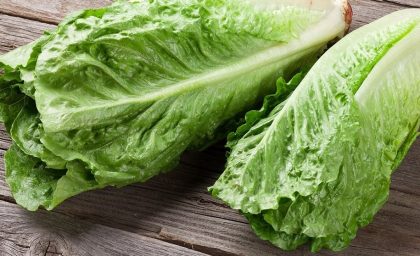 توصیه‌ای گیاهی برای کم‌خواب‌ ها: کاهو پیش از خواب