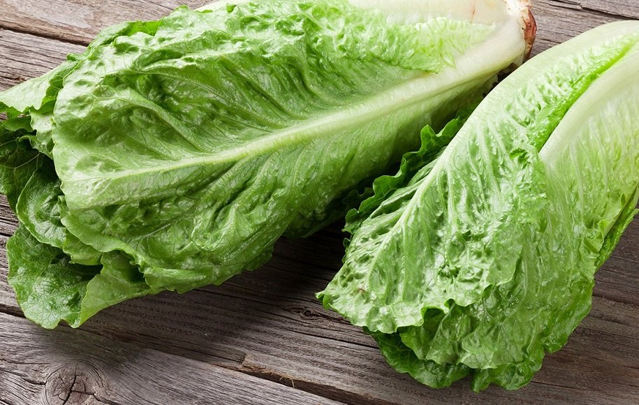 توصیه‌ای گیاهی برای کم‌خواب‌ ها: کاهو پیش از خواب