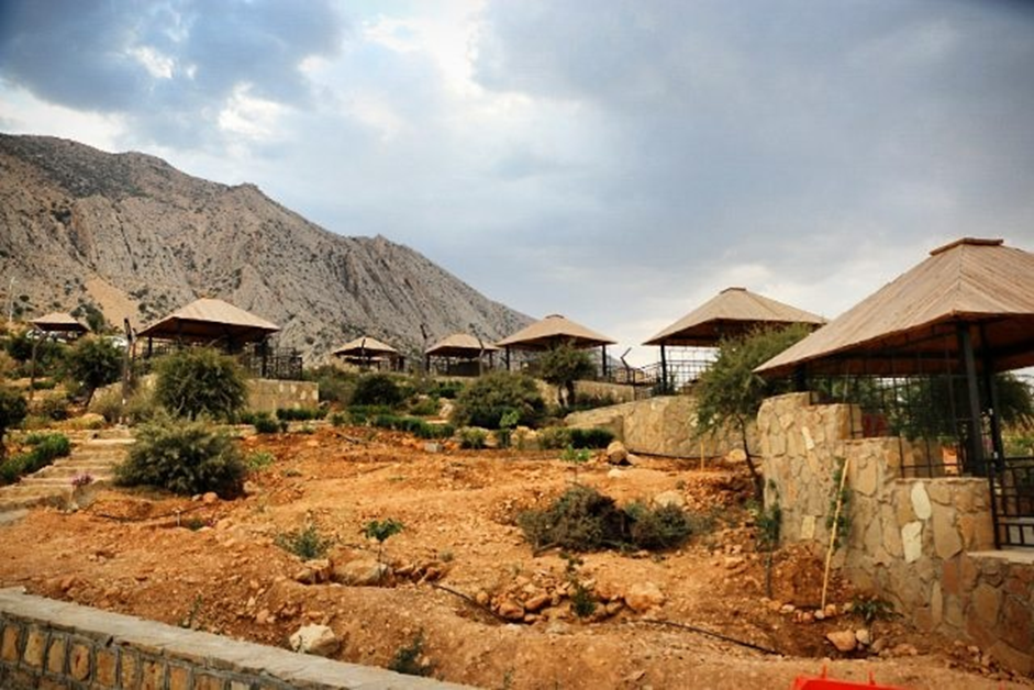 حرکت‌های نمایشی خطرناک خودروها در پارک کوهستانی دراک شیراز + ویدیو
