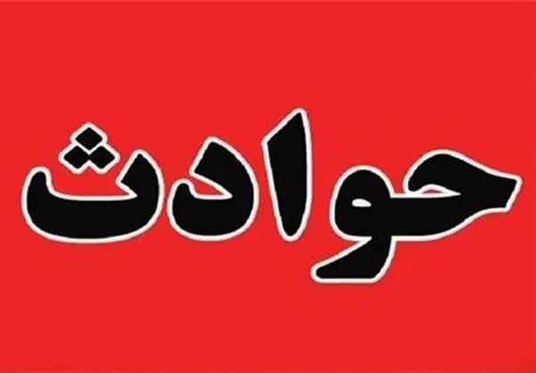 تهدید برای جنگل و درخت بومی ایران | منابع سرسبز درخت و جنگل ایران تهدید میشوند