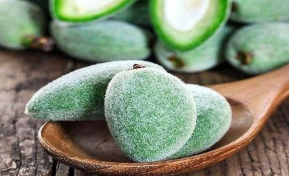 خواص چغاله بادام چیست؟ – سبک ایده آل