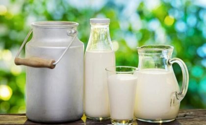 راهنمای تغذیه ورزشی برای وگان‌ها
