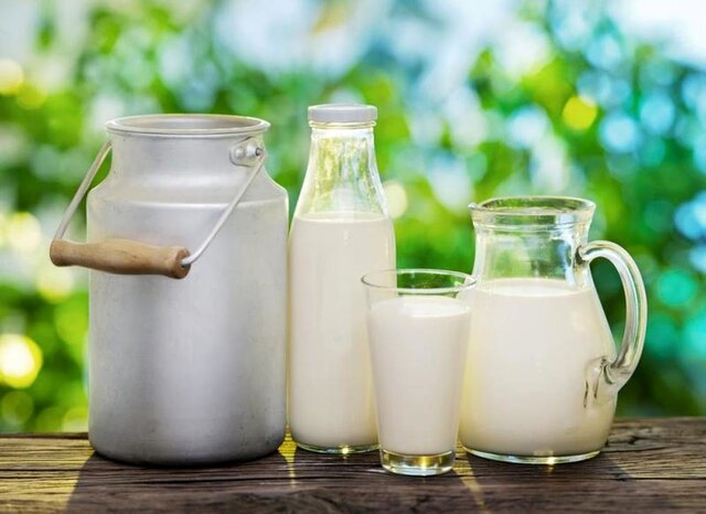 راهنمای تغذیه ورزشی برای وگان‌ها