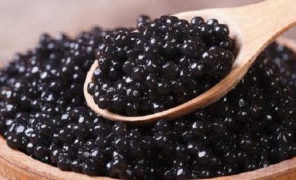 روش تهیه خاویار، گرانترین غذای دنیا