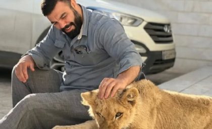 صحبت‌های جدید امیر علی‌اکبری در مورد نگه داشتن توله شیر در خانه!
