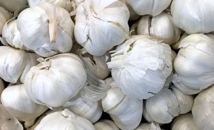 فواید شگفت‌انگیز مصرف سیر به صورت ناشتا