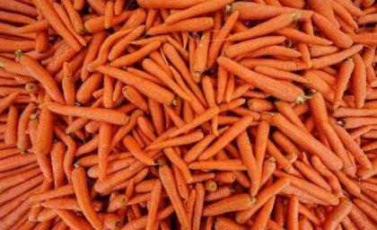 خواص شگفت‌انگیز هویج برای سلامت بدن و تقویت سیستم ایمنی / هویج بخورید تا این ۷ فایده مهم را برای بدن تجربه کنید