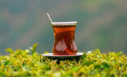 چای سبز بهتر است یا چای سیاه؟
