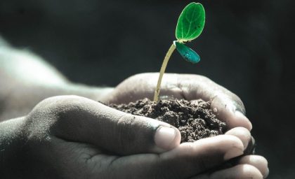 یادگیری عشق به زندگی که درخواست نکردید