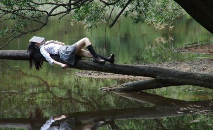 The Drowsy Genius: Dreams and Diminal States