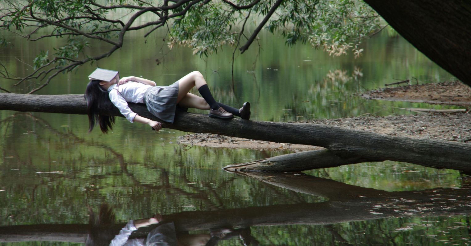 The Drowsy Genius: Dreams and Diminal States