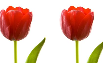 اصالت می تواند به فرسودگی روابط کمک کند