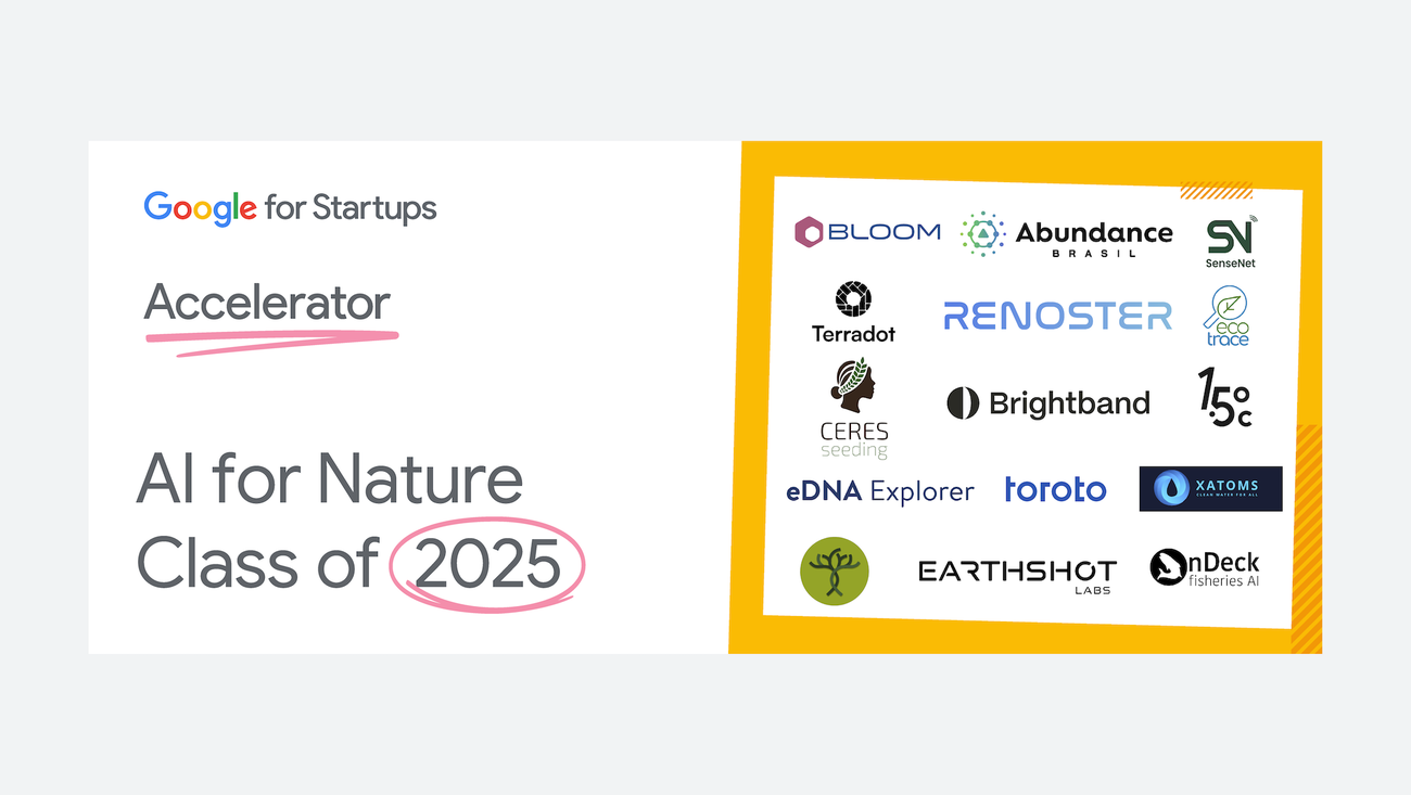 با Google برای Accelerator Startup ملاقات کنید: AI برای گروه طبیعت
