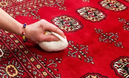 با این ترفند فرش های خونتو برق بنداز+فیلم