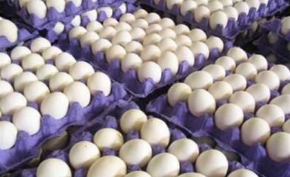 این قیمت تخم مرغ است یا تخم طلا؟/ افزایش قیمت تخم مرغ و کوچک تر شدن سفره ها+ جدول