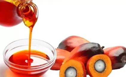 روغن پالم و تاثیرات آن بر سلامت بدن