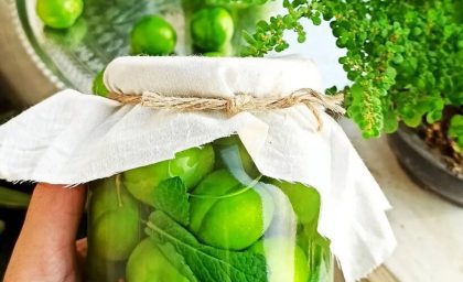 طرز تهیه ترشی گوجه سبز خوشمزه + فیلم
