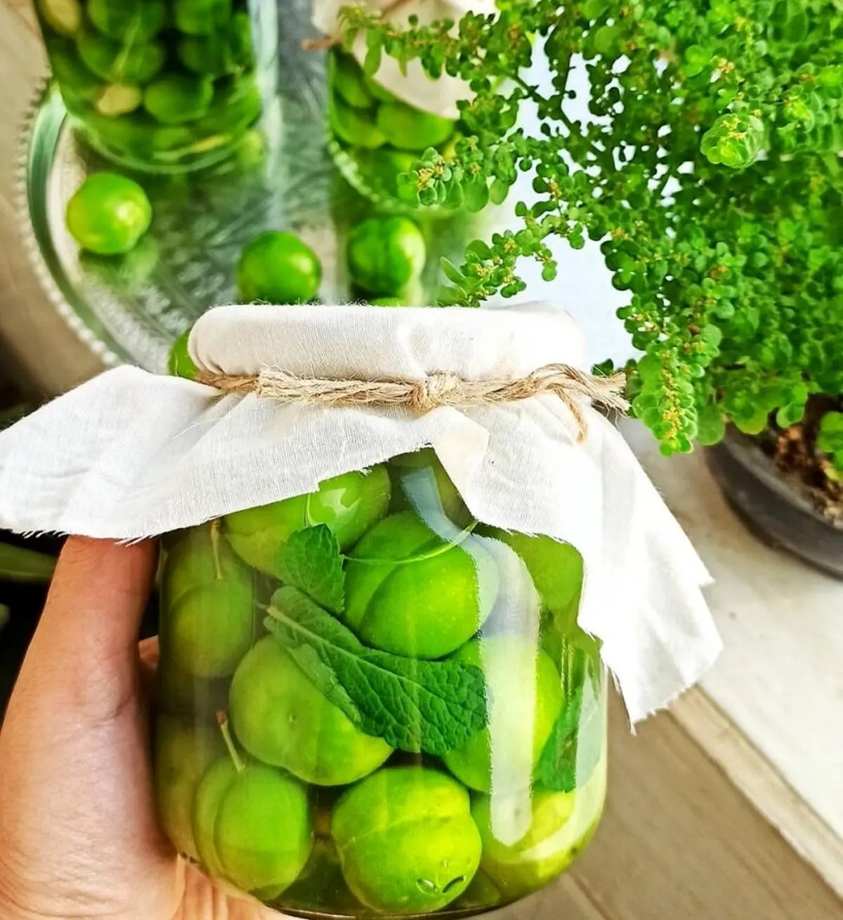 طرز تهیه ترشی گوجه سبز خوشمزه + فیلم