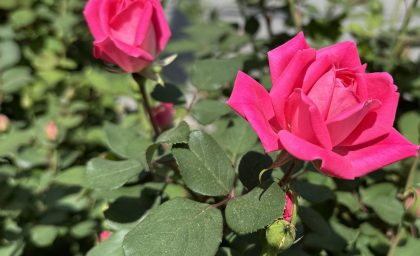 نه راه برای حمایت و تقویت سلامت روانی خود