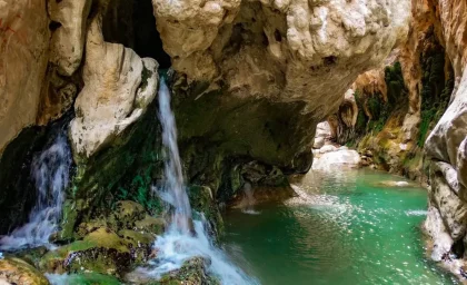 چشمه مرتضی علی پدیده ای نادر در دل کویر طبس + فیلم