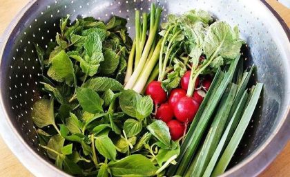 چطور سبزی‌ها را تازه نگه داریم؟ فوت‌وفن نگهداری سبزیجات