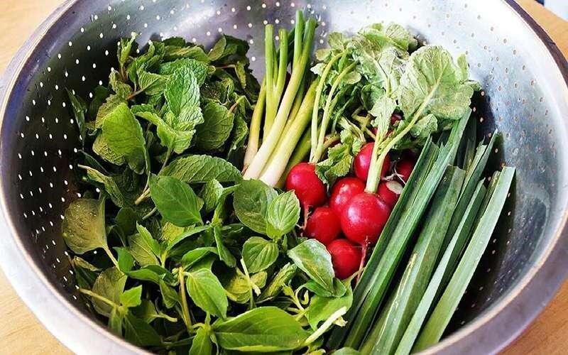 چطور سبزی‌ها را تازه نگه داریم؟ فوت‌وفن نگهداری سبزیجات