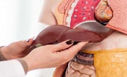 سلامت کبد تمام زندگی شما را تغییر میدهد/ راز سلامتی کبد چیست؟