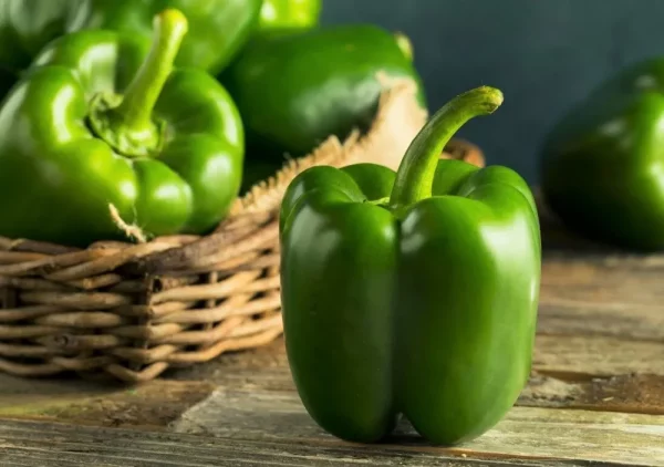 کدام فلفل دلمه برای پخت مناسب‌تر است؟
