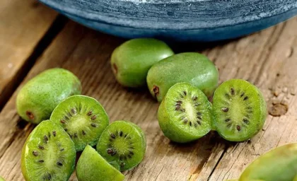 کیوی؛ میوه‌ ای شگفت‌انگیز با خواص اعجاب‌برانگیز