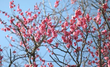 5 راه برای شکوفایی در اواسط زندگی