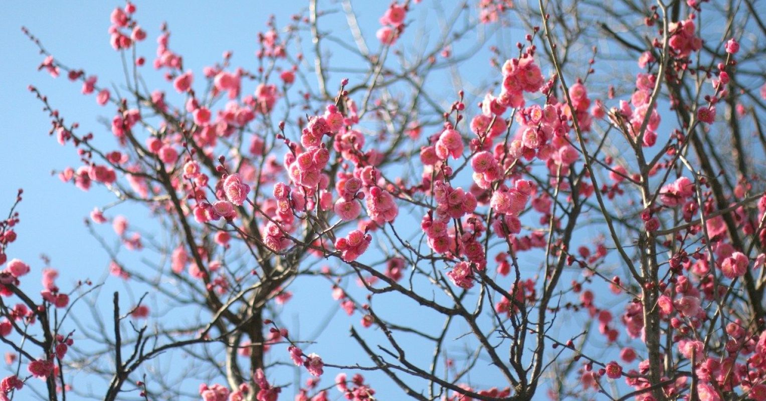 5 راه برای شکوفایی در اواسط زندگی