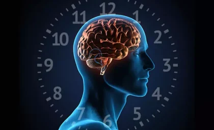 بررسی ساعت های بیولوژیکی بدن و عملکرد در ساعات مختلف روز