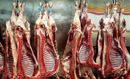 وضعیت بازار گوشت و مرغ چگونه است؟/ هیچ کبودی در تامین گوشت نداریم