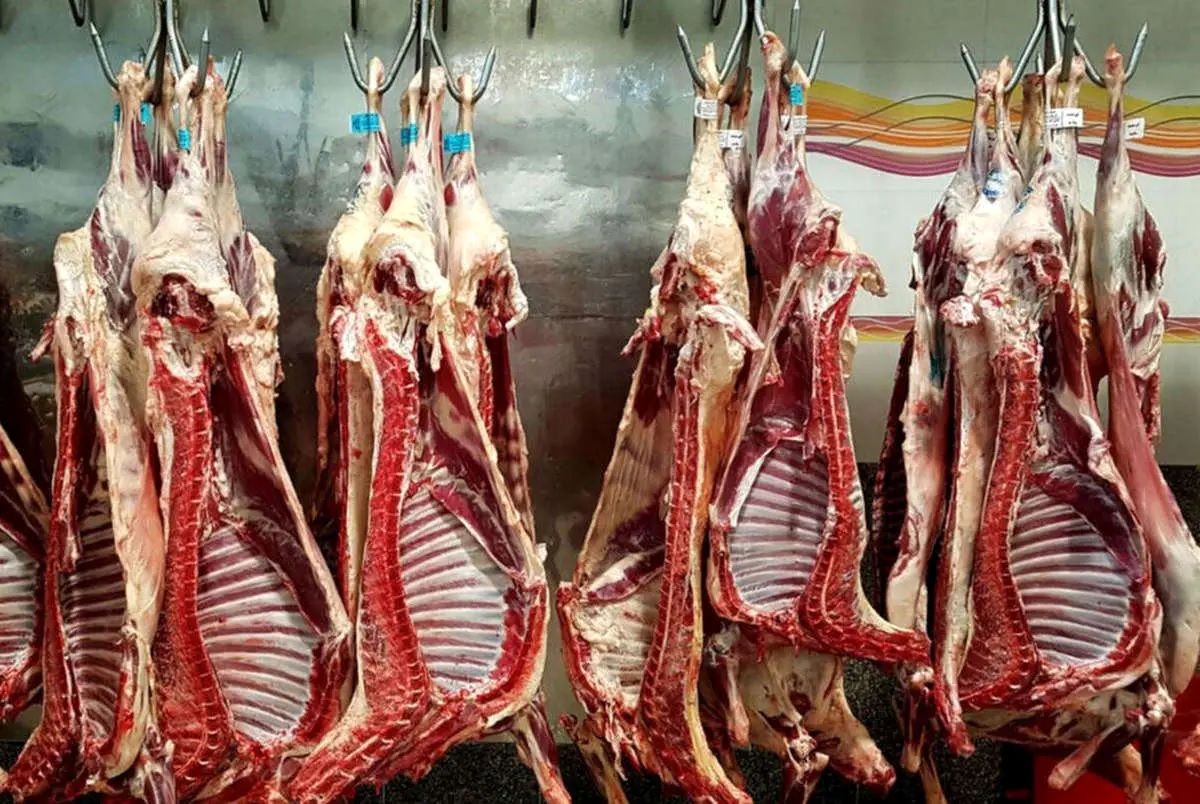 وضعیت بازار گوشت و مرغ چگونه است؟/ هیچ کبودی در تامین گوشت نداریم