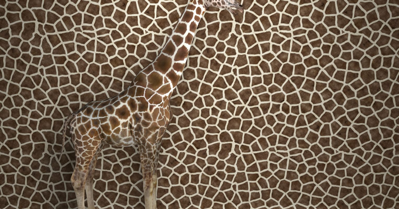 خطرات واقعی رسانه های اجتماعی